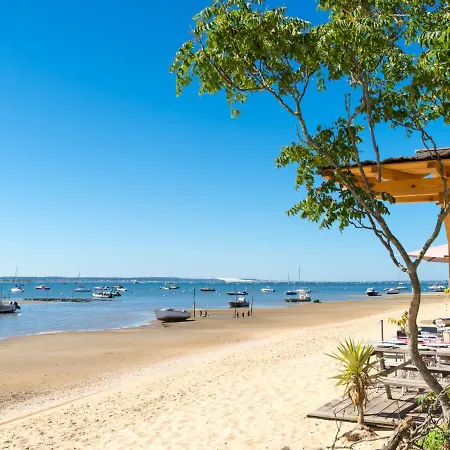 Dans La Foret De Pin By Interhome