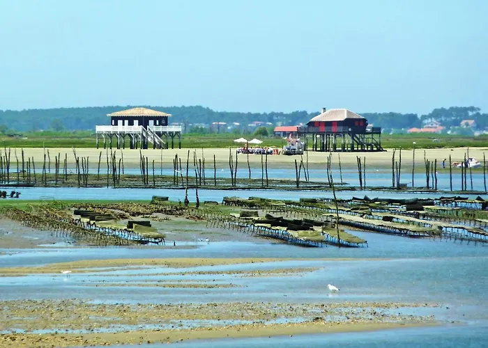 Dans La Foret De Pin By Interhome Lejlighed La Teste-de-Buch