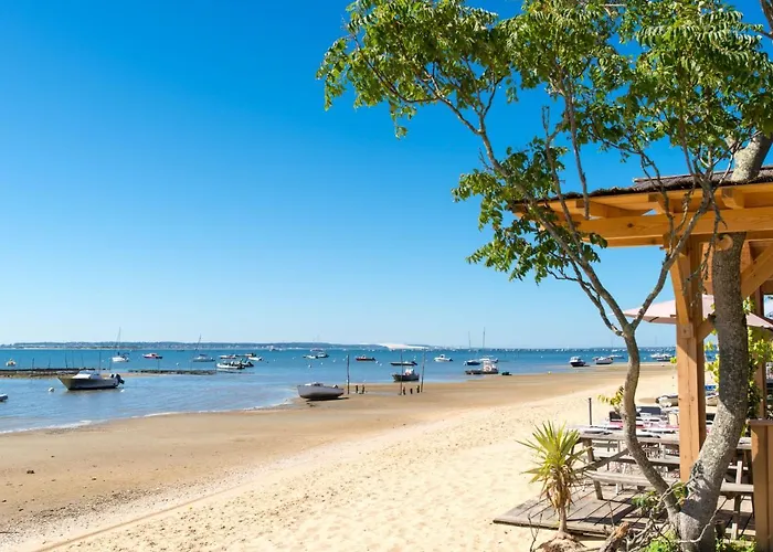 Dans La Foret De Pin By Interhome